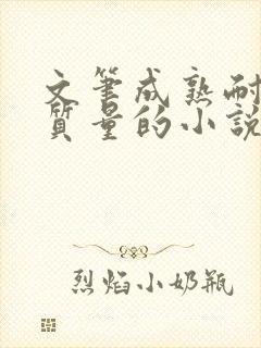 文笔成熟耐看高质量的小说言情