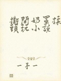 撕开奶罩揉吮奶头玩小说封面