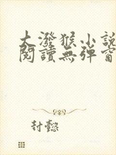 大泼猴小说免费阅读无弹窗