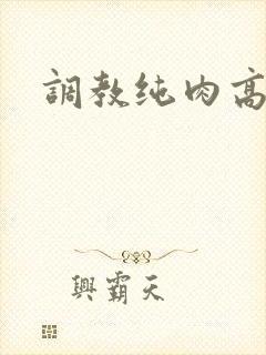 调教纯肉高h