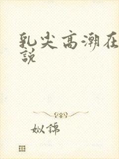 乳尖高潮在线小说