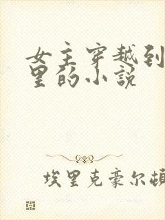 女主穿越到小说里的小说