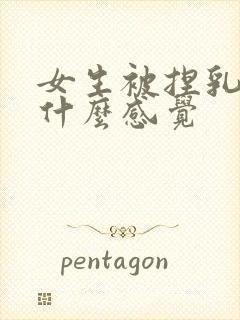 女生被捏乳头是什么感觉