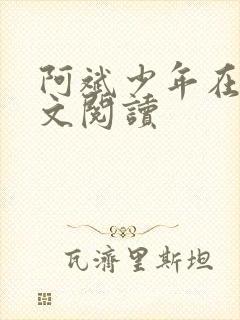 阿斌少年在线全文阅读