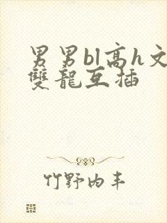 男男bl高h文双龙互插