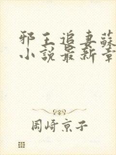 邪王追妻苏小暖小说最新章节阅读