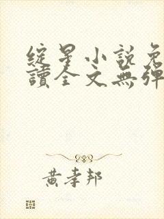 绽星小说免费阅读全文无弹窗封面