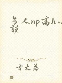 多人np高h小说