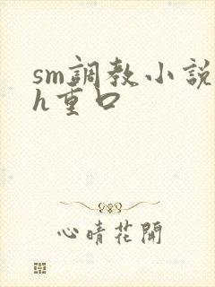 sm调教小说高h重口