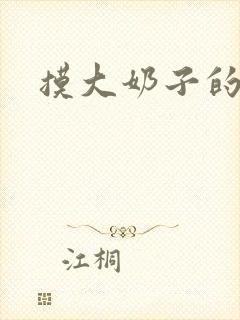 摸大奶子的小说