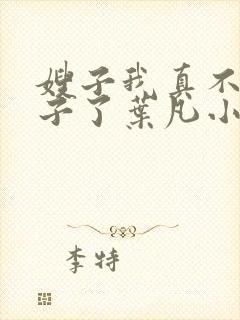 嫂子我真不是傻子了叶凡小说.txt