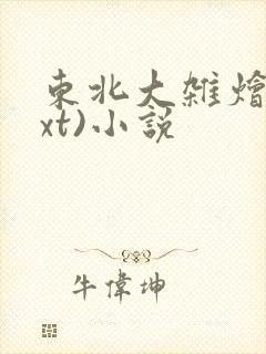 东北大杂烩(txt)小说