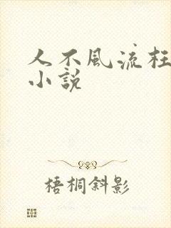 人不风流枉少年小说