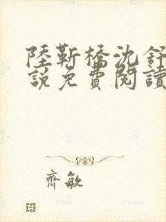 陆靳桥沈舒宁小说免费阅读最新章节封面