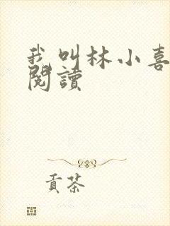 我叫林小喜全文阅读封面