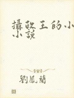 摄政王的小闲妻小说封面