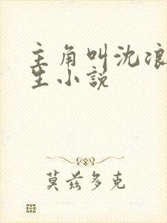 主角叫沈浪的重生小说