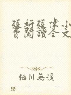 张妍张伟小说免费阅读全文封面