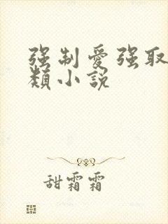 强制爱强取豪夺类小说