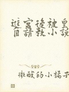 进宫后被皇上亲自请教小说