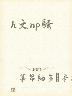 h文np骚封面