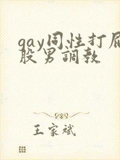 gay同性打屁股男调教