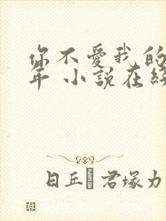 你不爱我的那些年 小说在线阅读