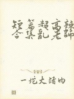 短篇超高辣h文合集乱老师