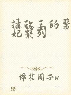 摄政王的医品狂妃系列封面