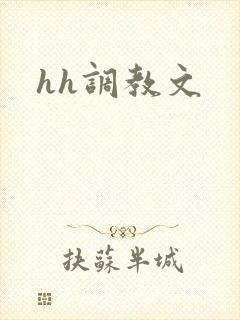 hh调教文