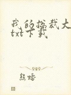 我的总裁大老婆txt下载