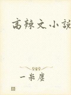 高辣文小说h文