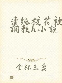 清纯校花被地狱调教h小说