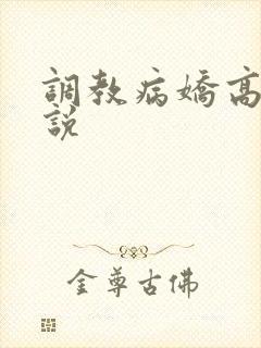 调教病娇高h小说