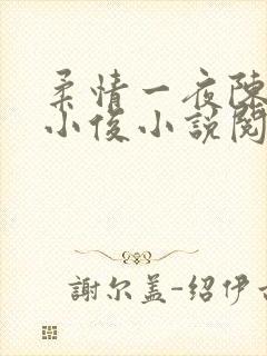 柔情一夜陈蕊王小俊小说阅读