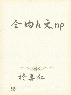 全肉h文np