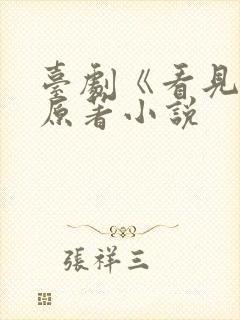 台剧《看见爱》原著小说