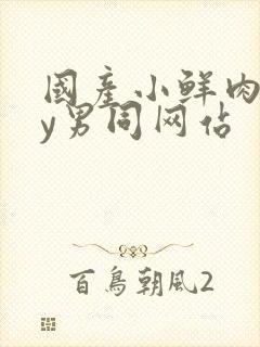 国产小鲜肉gay男同网站