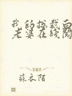 我的总裁白富美老婆在线阅读无弹窗封面