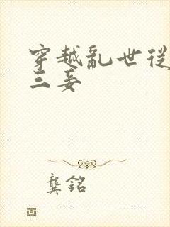 穿越乱世从一妻三妾