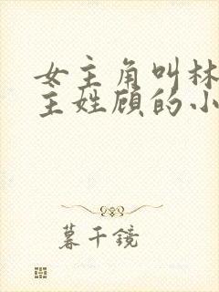 女主角叫林微男主姓顾的小说封面