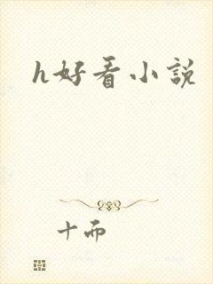 h好看小说