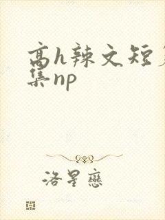 高h辣文短篇合集np封面