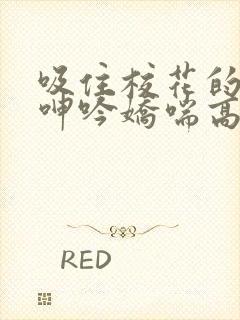 吸住校花的奶头呻吟娇喘高潮