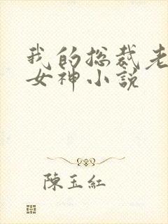 我的总裁老婆是女神小说