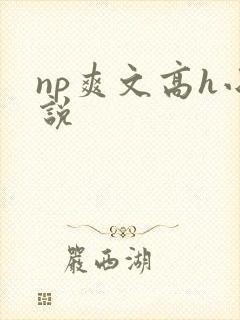 np爽文高h小说