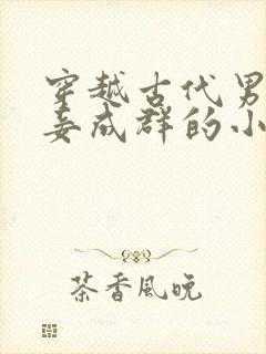 穿越古代男主妻妾成群的小说