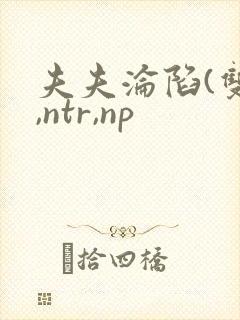 夫夫沦陷(双性,ntr,np封面