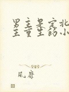 男主是定北侯女主重生的小说