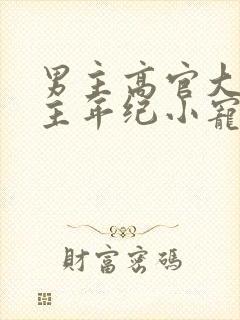 男主高官大叔女主年纪小宠文